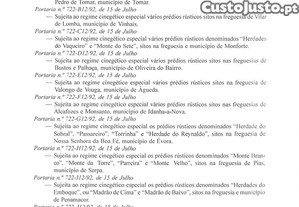 imagem_41