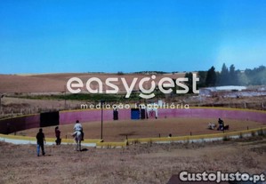 imagem_6