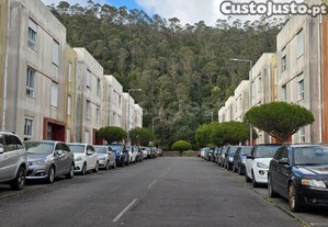 imagem_12