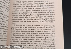 imagem_3