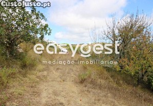 imagem_28