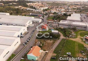 imagem_11