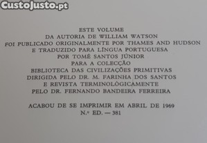 imagem_8