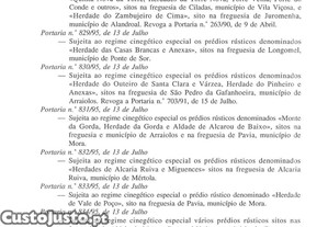 imagem_26