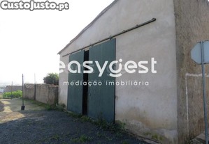 imagem_20