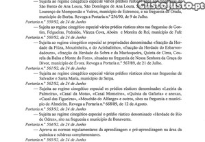 imagem_21