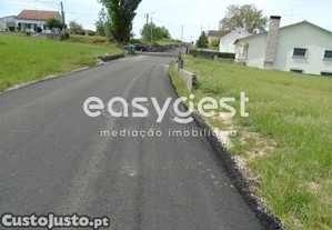 imagem_15
