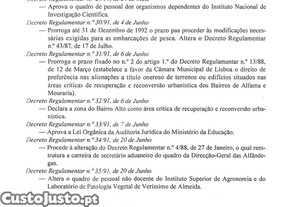 imagem_10