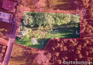Terreno Urbano De 3053M² Com Ruína