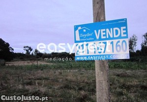imagem_1