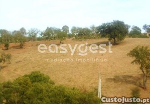 imagem_23