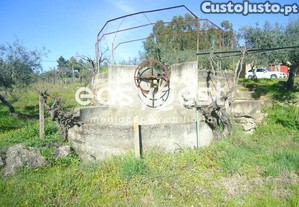 imagem_7