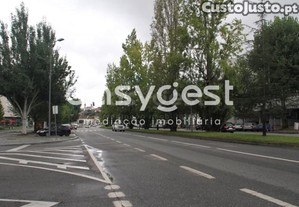 imagem_21