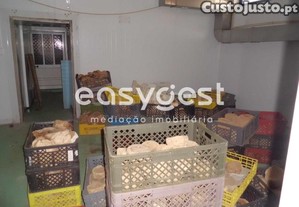 imagem_24