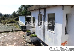imagem_12