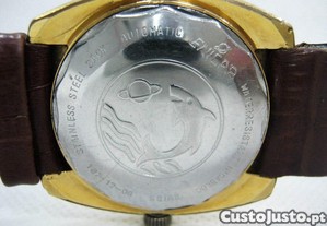 imagem_8