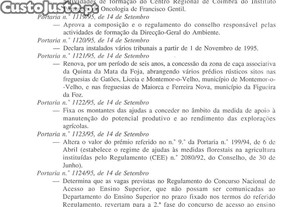 imagem_18