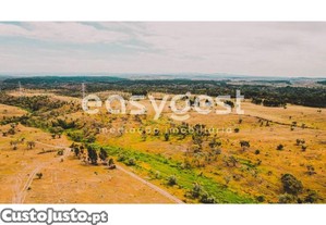 imagem_34