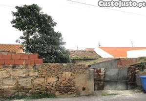imagem_20