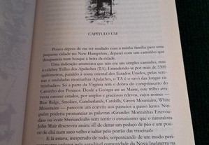 imagem_6