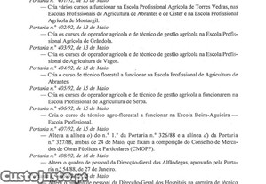 imagem_10