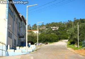 imagem_15