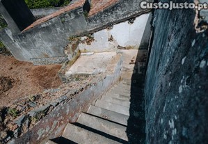 imagem_16