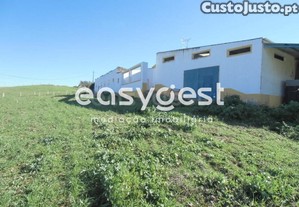 imagem_26