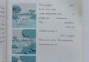 imagem_3
