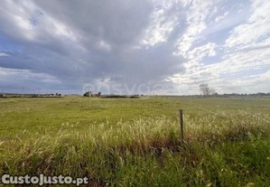 imagem_7