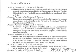 imagem_31