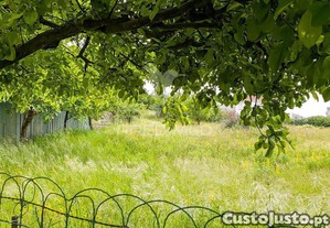 imagem_16