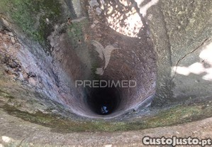 imagem_18