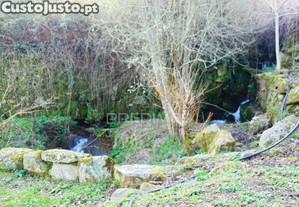 imagem_28