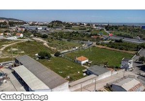 imagem_1