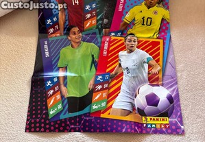 imagem_1