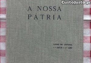 imagem_1