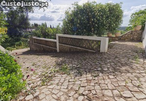 imagem_17