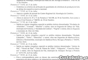 imagem_19