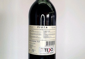 imagem_2
