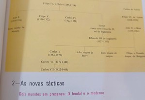 imagem_7