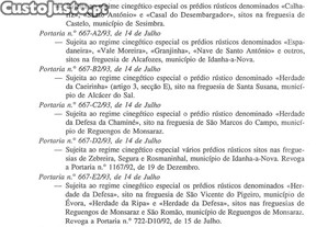 imagem_20