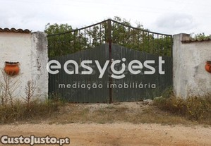 imagem_13