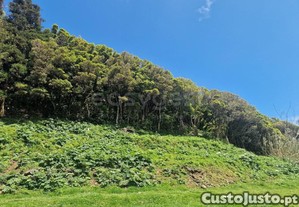 imagem_8