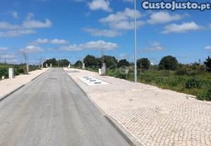 imagem_10