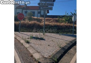 imagem_29
