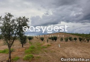 Quinta Agrícola Em Travancinha, Concelho De Seia