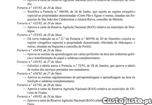imagem_12
