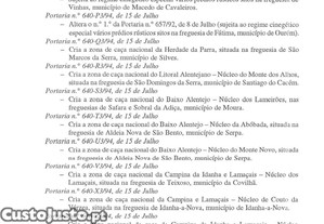 imagem_33