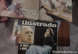 imagem_3